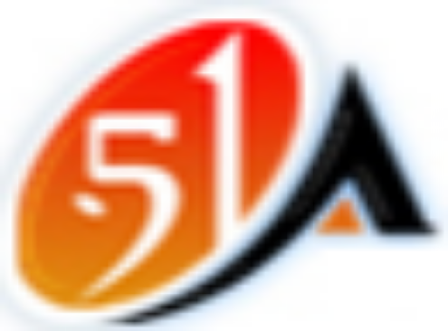 51电子网